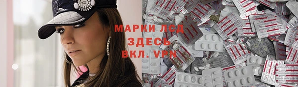 хмурый Магас