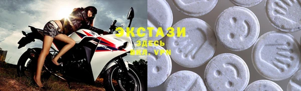 хмурый Магас
