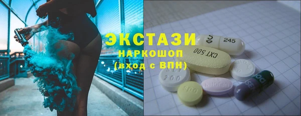 хмурый Магас
