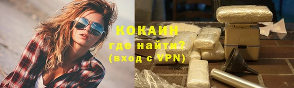 хмурый Магас