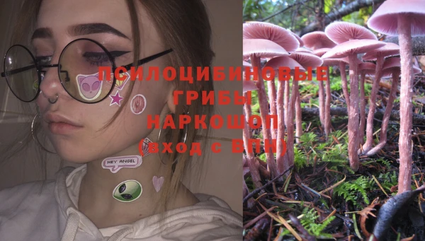 прущие крисы Магадан