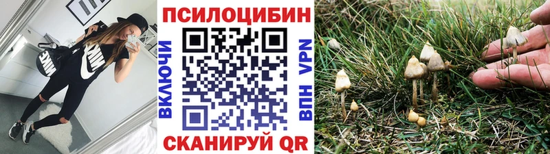 гидра онион  купить   Константиновск  Псилоцибиновые грибы ЛСД 